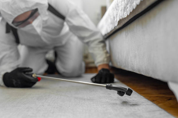 Professional Cockroach Control technician working in Williamsburg, FL