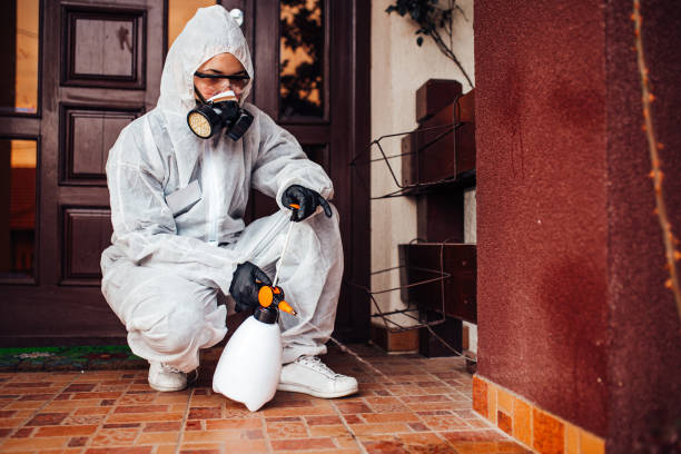Reliable Cockroach Control contractor in Williamsburg, FL by Nex Pest Control